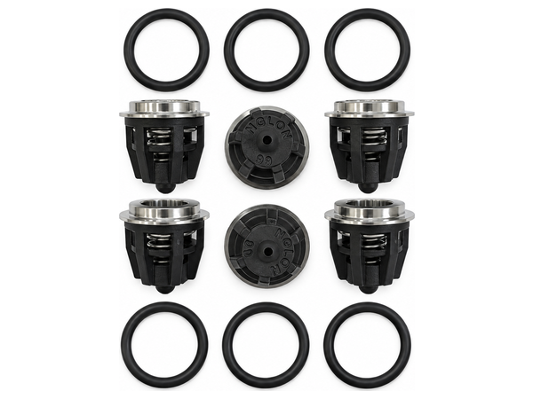KIT01. Ремкомплект клапанов для помп Interpump 47 серии. (34000101) KIT01. Ремкомплект клапанов для помп Interpump 47 серии. (34000101)