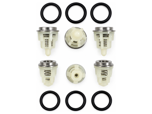 KIT 269, Комплект клапанов для Interpump Evolution (34026901) KIT 269, Комплект клапанов для Interpump Evolution (34026901)