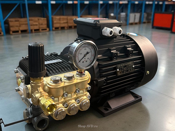 Моноблок TOR 15/25 BP 5.5 T (с манометром, без кнопки запуска) Моноблок TOR 15/25 BP 5.5 T (с манометром, без кнопки запуска)