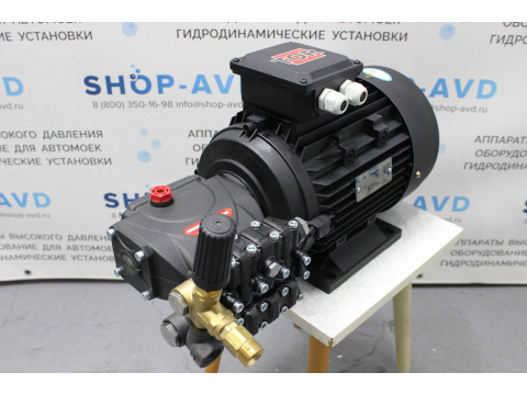 Моноблок Тритон IP 13/180 BP 5 T Моноблок Тритон IP 13/180 BP 5 T