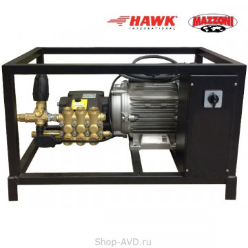 HAWK FX 200/15 TS с двигателем Mazzoni HAWK FX 200/15 TS с двигателем Mazzoni