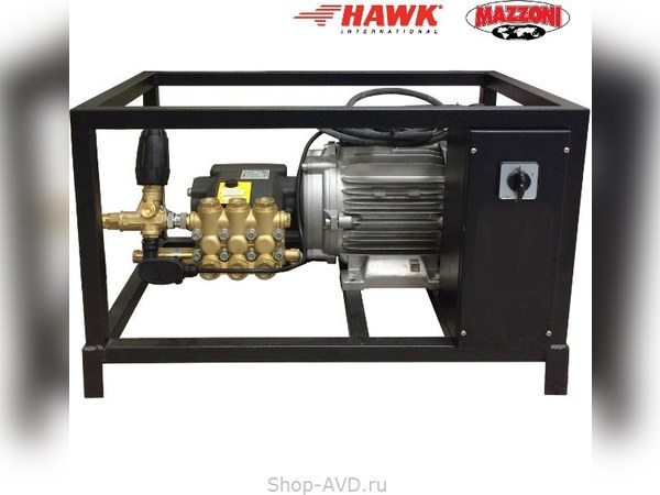 HAWK FX 200/15 TS с двигателем Mazzoni HAWK FX 200/15 TS с двигателем Mazzoni