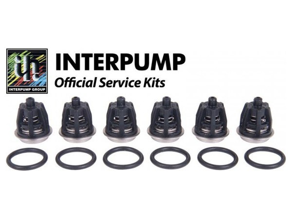 Комплект клапанов KIT 1 Royal Press (WS102) Комплект клапанов KIT 1 Royal Press (WS102)