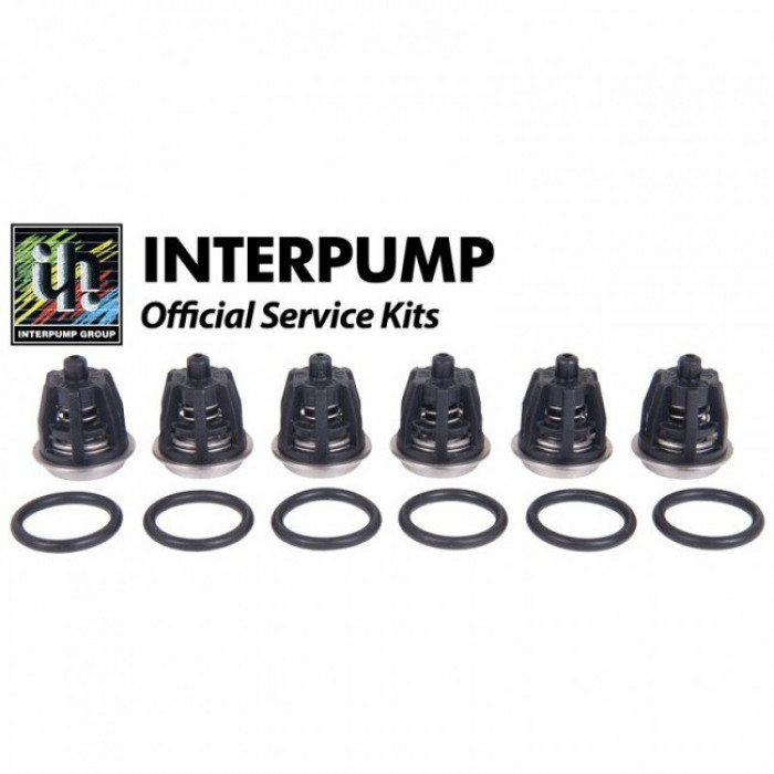 Комплект клапанов KIT 1 Royal Press (WS102)