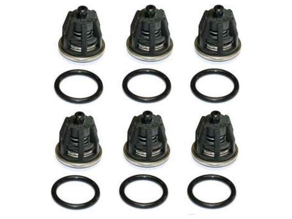 Комплект клапанов Mazzoni LJ/PM (6 шт.)