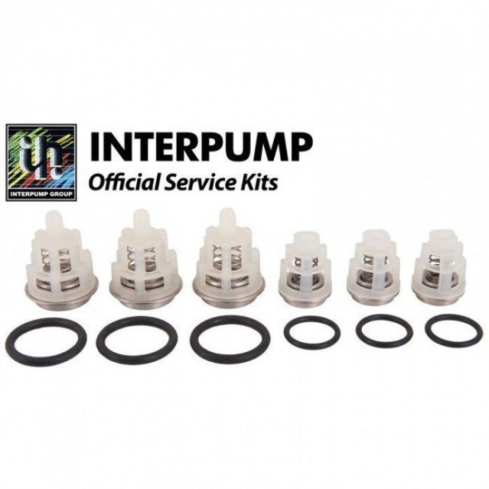Комплект клапанов для Interpump Evolution Kit 269