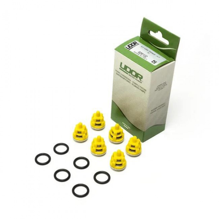 Комплект клапанов насоса серии B (KIT 2)