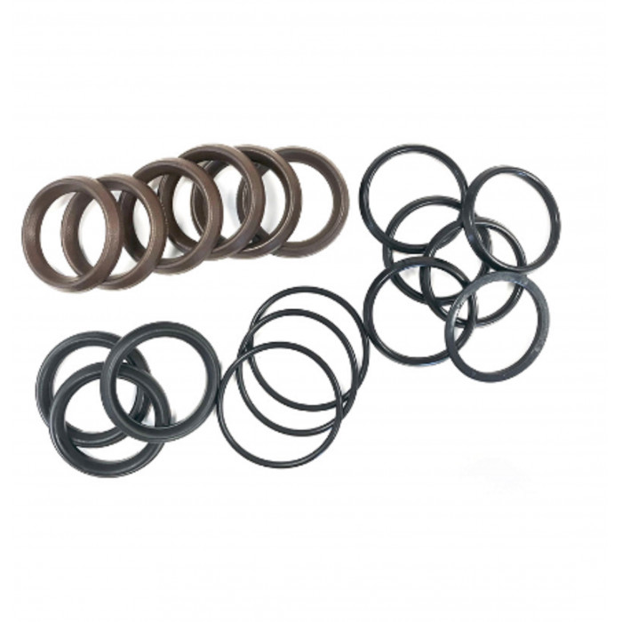 KIT 55 Уплотн.плунжеров (CK110-120)