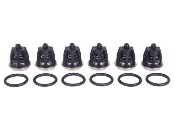 KIT01. Ремкомплект клапанов для помп Interpump 47 серии. (34000101) KIT01. Ремкомплект клапанов для помп Interpump 47 серии. (34000101)