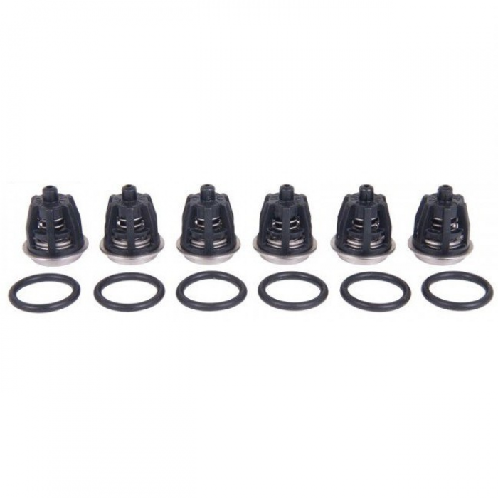 KIT01. Ремкомплект клапанов для помп Interpump 47 серии. (34000101)