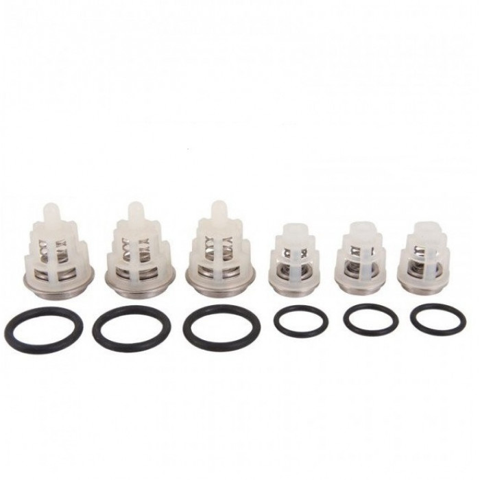 KIT 269, Комплект клапанов для Interpump Evolution (34026901)